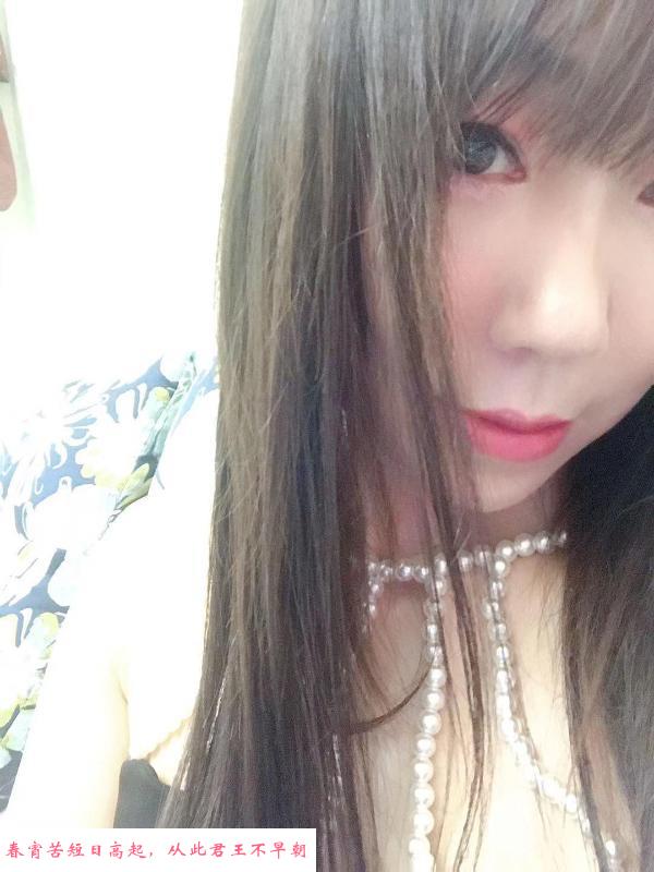 河东雪莲路附近叶子 第1张