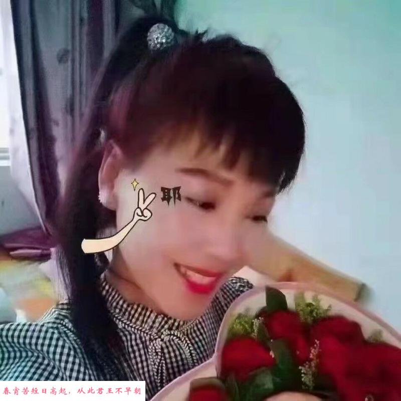 潮喷野蔷薇 第1张