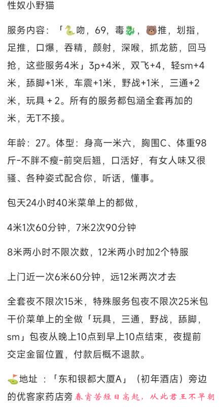 三通小野猫 第2张