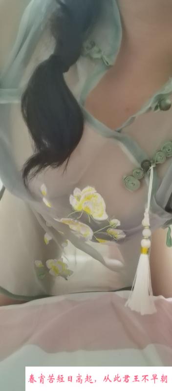 蜀山猫猫 第1张