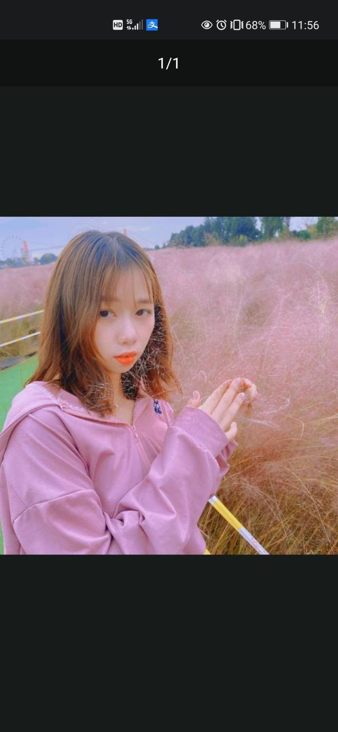 雄楚一号兼职 第1张